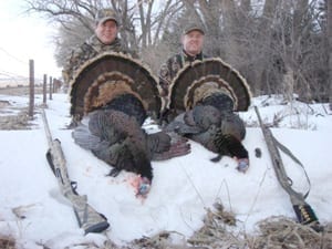 Chad Turkey hunt experience